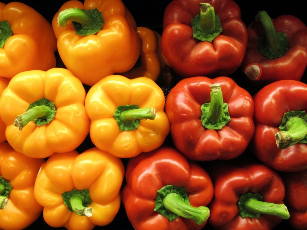 kan hundar äta paprika